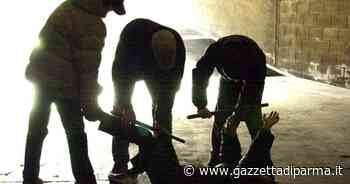 Smettiamola di sminuire la violenza dei giovani - Gazzetta di Parma