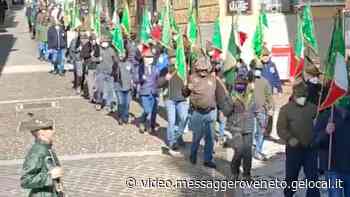 Gli alpini tornano a Gemona: ecco la sfilata delle penne nere - gelocal.it