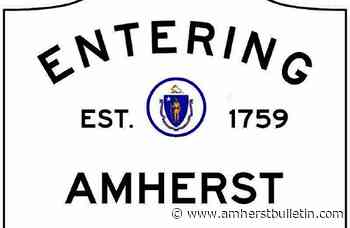 Around Amherst: Family helps council raise Ukrainian flag at Town Hall - Amherst Bulletin