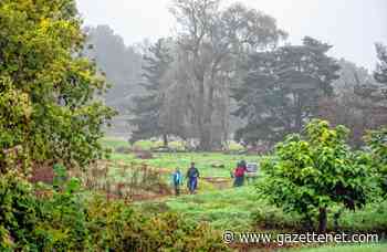Green purchase: Amherst buys former Hickory Ridge Golf Course - GazetteNET