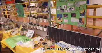 Festakt in Aachen : Unesco zeichnet das Pius-Gymnasium aus