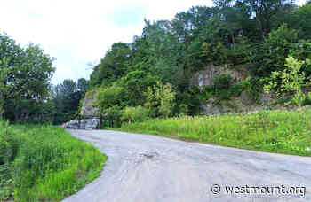 Belvedere Rd. garden waste depot opens April 19th - City of Westmount - Ville de Westmount