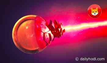 Ethereum Whales Are Accumulating Top ETH Rival and Dropping Dogecoin Competitor Shiba Inu - The Daily Hodl