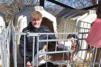 Warum Jakob (18) Landwirt werden will - Fränkischer Tag