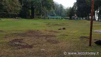 Campo de Boi, volano stracci: “Bagarre politica per mettere fumo negli occhi. Strada? Si fa” - LeccoToday