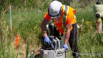 Everything you need to know about COVID-19 in Alberta on Tuesday, April 5