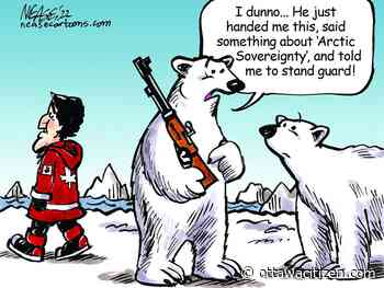 Dixon: The Canadian North desperately needs proper military support