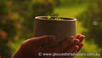 MidCoast Council's Youth Week Photo Exhibition is coming to Gloucester - Gloucester Advocate