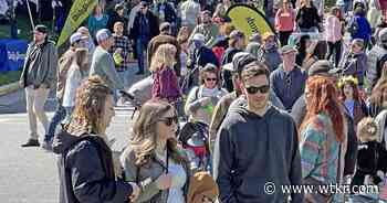 More than 25K people attended first Gloucester Daffodil Festival since 2019, organizers say - News 3 WTKR Norfolk