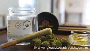 Cannabis causes more cancers than tobacco - Gloucester Advocate