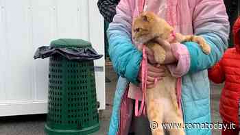 Da Roma a Leopoli per salvare anziani e bambini: "Ho visto lacrime, piedi scalzi e occhi stanchi"