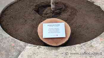 Una targa (e un ulivo) in memoria di Romilda, donna combattente simbolo di Spinaceto