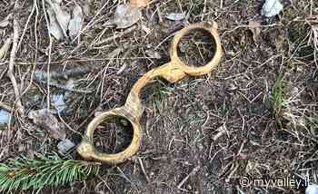 Clusone: danneggiate diverse sculture in legno al "Roccolo di Giannino" - MyValley.it