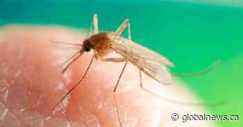 Edmonton city council eliminates aerial mosquito control program