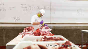 USDA grant to fund far-ranging study of meatpacking resilience