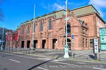 Warum Rosensorten nach Mannheim benannt sind - Mannheim - Nachrichten und Informationen - Mannheimer Morgen