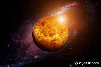 Here's what your Venus sign means in astrology - New York Post