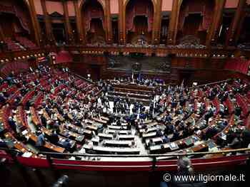 "Stop all'Iva sulla vendita di armi". Scintille e insulti al Senato