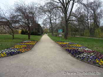 Bisher überstanden ! - Lutherstadt Wittenberg - myheimat.de - myheimat.de