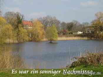 Ein sonniger Nachmittag ! - Lutherstadt Wittenberg - myheimat.de - myheimat.de