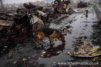 Ukraine accuses Russia of massacre as city strewn with bodies - St Helens Star