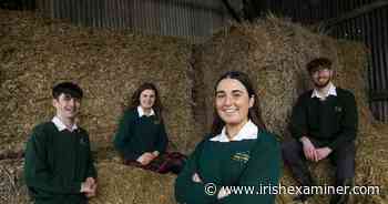 Angus Schools' competition winners announced - Irish Examiner