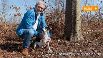 Don Camillo: Dreibeiniger Hund aus Augsburg wird zum Maskottchen