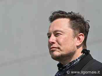 Elon Musk azionista di Twitter: pronto il rientro di Trump?