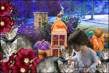 Lambton author's photography work featured at Gallery in the Grove - Sarnia Observer