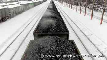 Ukraine-Krieg: Keine Einfuhr mehr für Kohle, Holz und Wodka