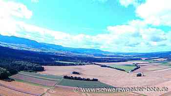 Waldhof-Pläne Geislingen - Wirtschaftsministerin Hoffmeister-Kraut fordert Einzelgespräche mit Betroffenen - Schwarzwälder Bote