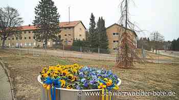 Ukrainer im Zollernalbkreis - Bisher sind 875 Kriegs-Flüchtlinge im Landkreis registriert - Schwarzwälder Bote