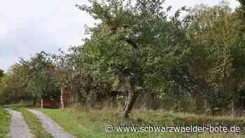 Projekt in Rosenfeld - Biodiversitätspfad entsteht in der Pfingsthalde - Schwarzwälder Bote