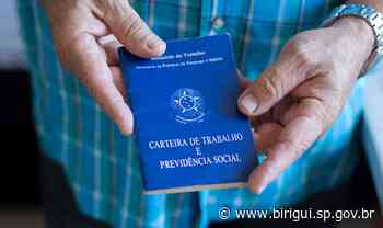 Birigui fecha 2021 com saldo positivo na geração de empregos, recuperando retração de 2020 - Prefeitura de Birigui (.gov)