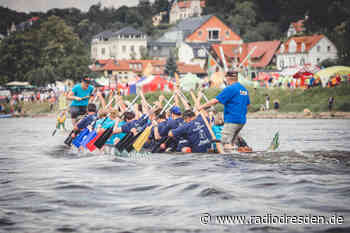 Drachenboot-Festival kehrt auf die Elbe zurück - Radio Dresden