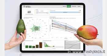 Dati su qualità e grado di maturazione disponibili con facilità - Freshplaza.it