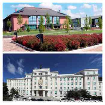 Carcinoma ovarico sieroso di alto grado: identificata la successione di tutte le mutazioni che causano la progressione della malattia - Tecnomedicina