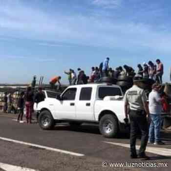 Tráiler cargado de cerdos vuelca en la maxipista Mazatlán - Culiacan - Luz Noticias