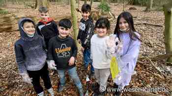 Umweltfüchse sammeln Müll ein - WESER-KURIER