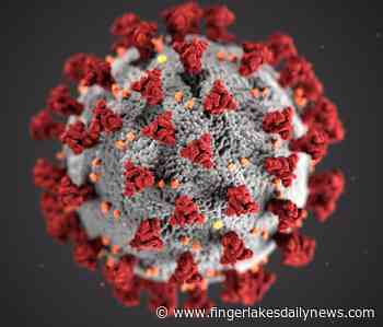 Two COVID-19 Deaths Reported in Cayuga County - Finger Lakes Daily News