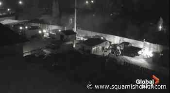 Target of Prince George arrest testifies at trial for RCMP dog handler - Squamish Chief