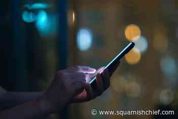 B.C. man gets conditional sentence for possessing sexual images of children - Squamish Chief