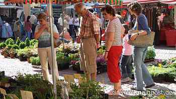 Blumen- und Frühlingsmarkt in Bischofsheim - Main-Post