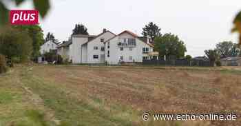 Bischofsheim: „Berliner Zwickel“ verspricht Brisanz - Echo Online