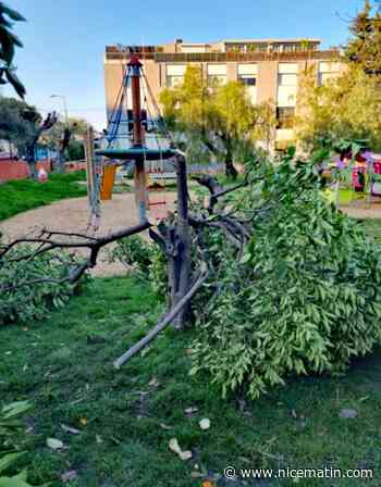 Villeneuve-Loubet lance un appel à témoins après un acte de vandalisme dans un jardin d’enfants