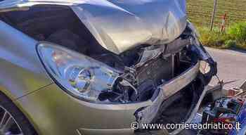 Scontro con un cinghiale all'alba: conducente ferito, auto semidistrutta - corriereadriatico.it
