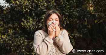 Is It Allergies or COVID? How to Tell the Difference     - CNET