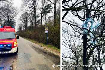 Feuerwehreinsatz: Ast hängt über Hochspannungsleitung | Raesfeld - Dorstener Zeitung