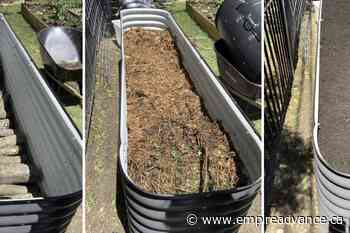 Hugelkultur: A different approach to raised beds, mounds - Virden Empire Advance