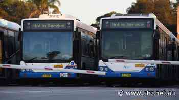 Live: NSW Now: Rain set to return as bus drivers prepare to strike